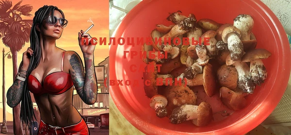 таблы Новокубанск