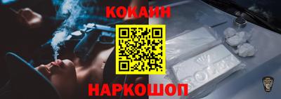 стаф Владимир