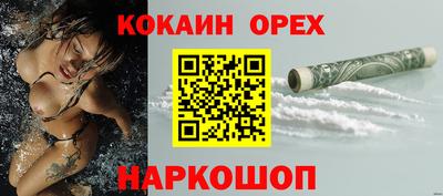 стаф Владимир