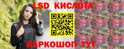 стаф Владимир