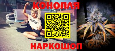 стаф Владимир