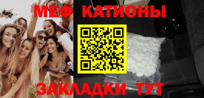 стаф Владимир