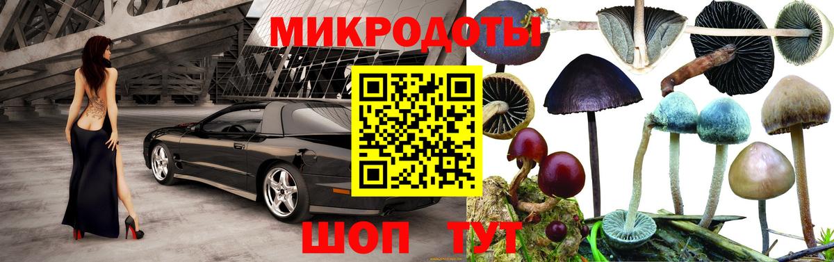 Галлюциногенные грибы MAGIC MUSHROOMS Великий Новгород